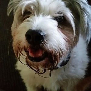 Meet your Posher, Margarette